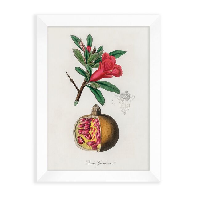 Custom A3 Wall Print - White Frame